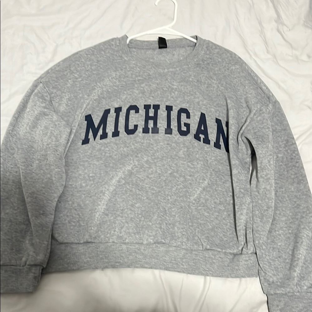 Gray Michigan Sweatshirt